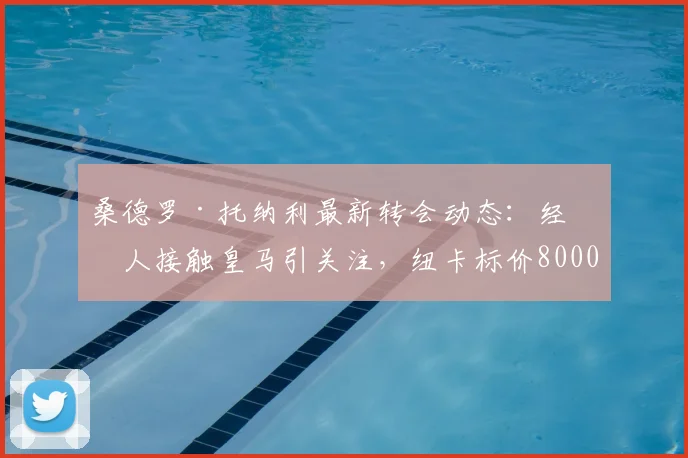 桑德罗·托纳利最新转会动态：经纪人接触皇马引关注，纽卡标价8000万英镑成2026年夏窗焦点