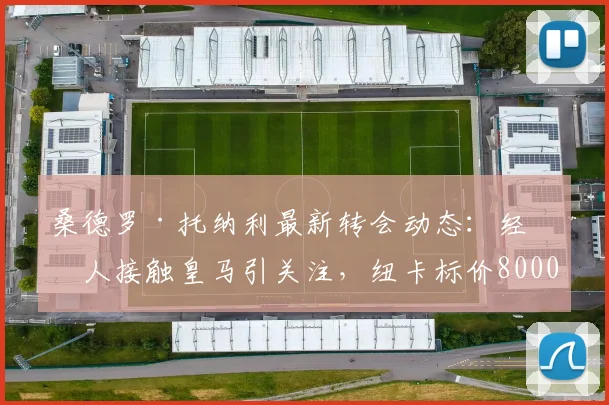 桑德罗·托纳利最新转会动态：经纪人接触皇马引关注，纽卡标价8000万英镑成2026年夏窗焦点