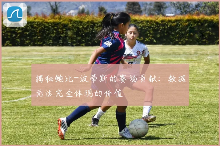 揭秘鲍比-波蒂斯的赛场贡献：数据无法完全体现的价值