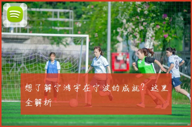 想了解宁鸿宇在宁波的成就？这里全解析